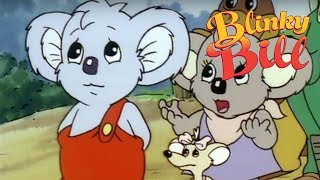 Blinky Bill - Episode 1 - Blinky Bills Favourite C