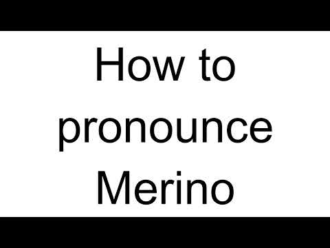 How to Pronounce Merino (Spanish)