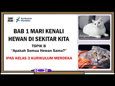 BAB 1 MARI KENALI HEWAN DISEKITAR KITA (TOPIK B Apakah Semua Hewan Sama?)