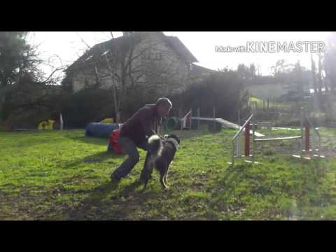 Jimson LPA 2015 12 12