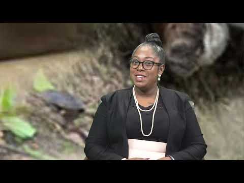 The Environment Matters April 2020 - Ban on Single - Use Plastics