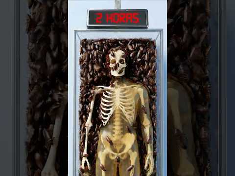 ¿Qué INSECTO te comería MÁS rápido? #shorts #homosapiens