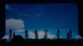 Flower Blue Sky Blue