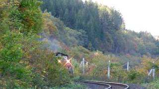 preview picture of video '供養動画・石北本線プッシュプル貨物　Japanese push-pull freight train(failure)'