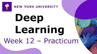Week 12 – Practicum: Attention and the Transformer