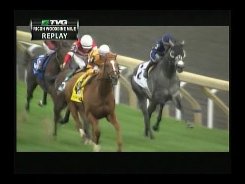 2013 Woodbine Mile - Wise Dan