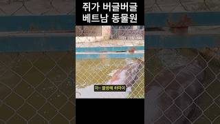 열악한 베트남 하노이 동물원 #shorts #베트남여행 #하노이여행