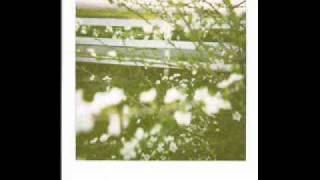 technicolor teeth- station wagon