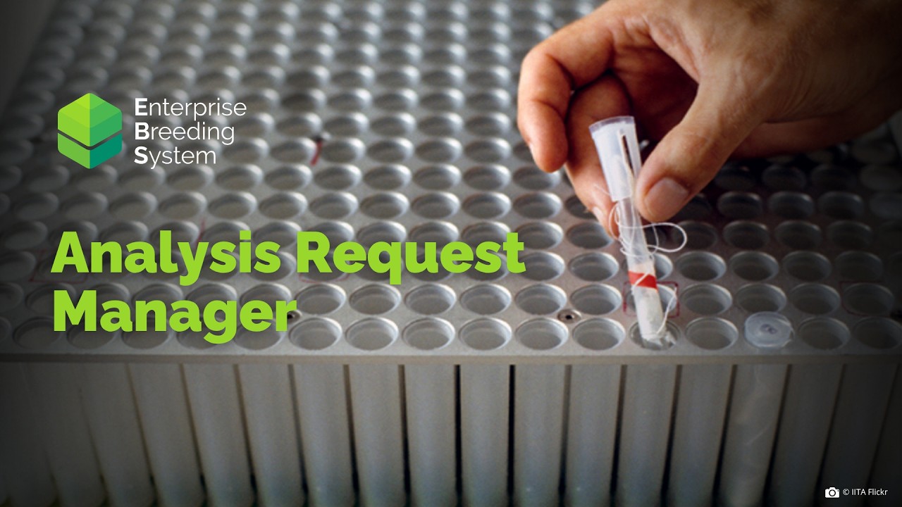 EBS BA: Analysis Request Manager
