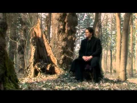 Black Swan by Mirjana Pospiš.wmv