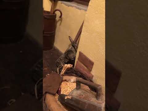 Cerchiara di Calabria-festa del pane 2021 (video non editato)