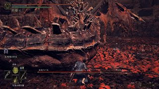 ELDEN RING　暴竜ベール初見　毒