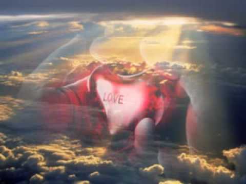 Honza Nedvěd - Vrba