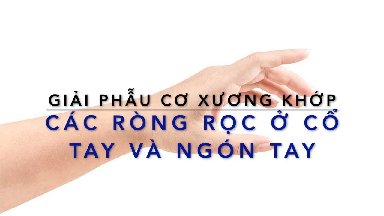 Các cấu trúc ròng rọc ở cổ tay và ngón tay