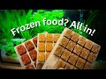 Beginners Guide How To Feed Frozen Fish Food To Your Fish