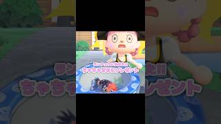 金魚の種類なら何でもいいと思ったのに...？！？！#あつ森 #どうぶつの森 #あつまれどうぶつの森 #shortvideo #shorts #short #キンギョ