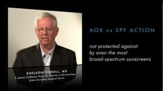 Antioxidant and Sunscreen Difference SkinCeuticals