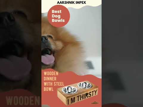 WOODEN DINNER WITH STEEL BOWL... #steel #stainlesssteel #dogbowl #explore #petbowls #aarshnik #dog