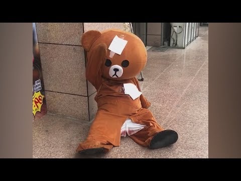 Lovely little bear everyday, TRY NOT TO LAUGH & Funny Pranks Compilation - 2019#69