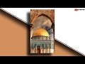 Masjid E Aqsa New Whatsapp Status 2021 Free Palestine Status Viral Palestine