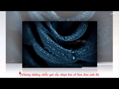 [Fanmade] Rose- LeeHi