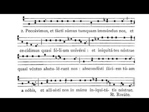 Rorate Caeli