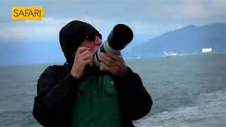 SANCHARAM Alaska Promo