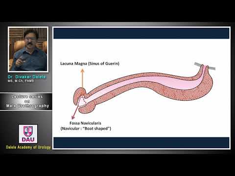 Lecture 3 On Male Urethrography