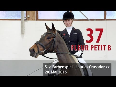 37 Fleur Petit B Stute v. Farbenspiel -  Lauries Crusador xx