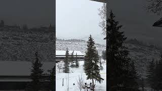 Heavy Snowfall in Vail, CO — March 2025 - Grand Hyatt Vail Resort and Spa #vailcolorado #colorado