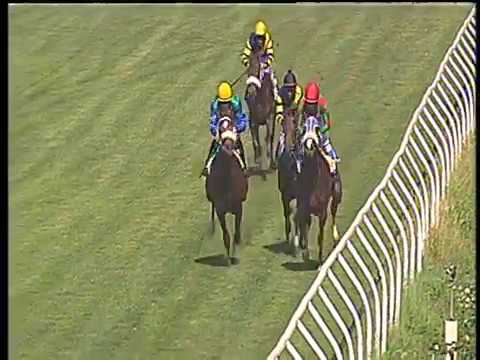 Galoppo 18/05/2017 - 1ª corsa