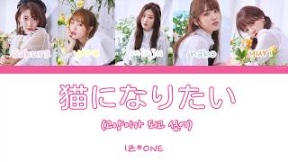 IZ*ONE (아이즈원) - 猫になりたい (고양이가 되고 싶어) [Color Coded Lyrics HAN/JAP/가사]