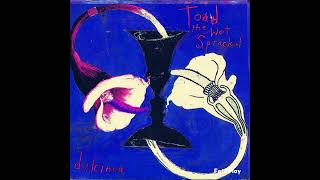 Toad The Wet Sprocket - Begin (Filtered Semi-instrumental)