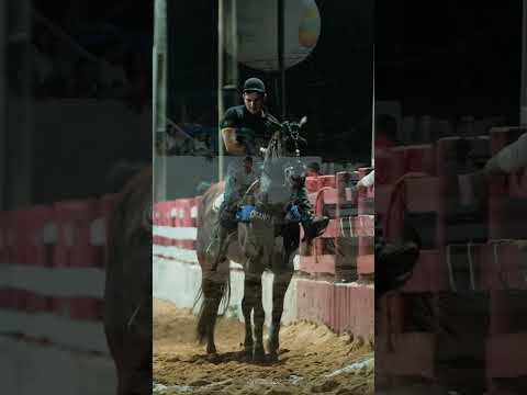 Rey Vaqueiro - Insônia (Hungria)