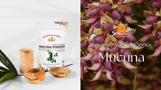 Mucuna Powder: Versatile Ayurvedic Herb for Wellness