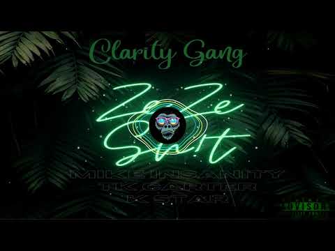 Mike Insanity & TK Carter - ZeZe Sh!t feat. K Star (Official Visualizer)
