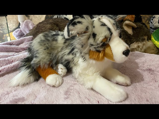 Vídeo relacionado con Carl Dick Beagle 20cm, Peluche, Juguete Blando, Peluche 3717