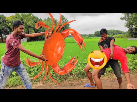 ডিজিটাল বাংলাদেশ