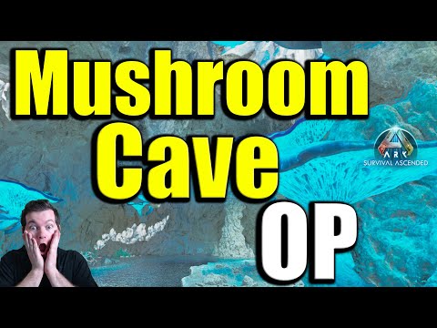 Ragnarok Mushroom Cave OP Location | Where To Find It On Ark survival Ascended