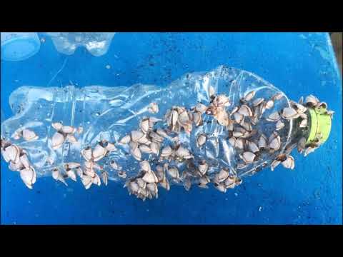 Udo Polmer über die Plastisphäre und den Plastikmüll