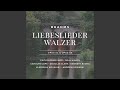 Neue Liebeslieder Walzer, Op. 65: VI. Rosen steckt mir an die Mutter