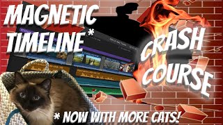 Timeline Crash Course - for Professional Editors - Bonus Episode!