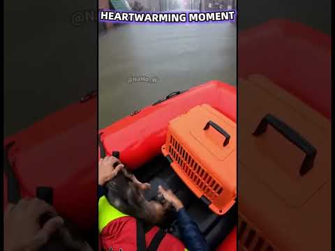 Phillies land All-Star closer Jhoan Duran ahead of MLB trade deadline❤️🐱❤️