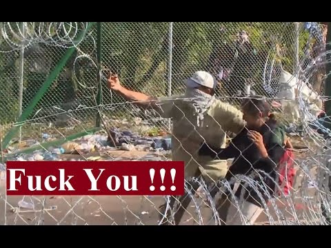 Migranci zmuszają młode dziewczyny, żeby stały w 
