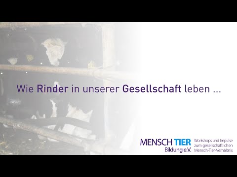 , title : 'Wie Rinder in unserer Gesellschaft leben'