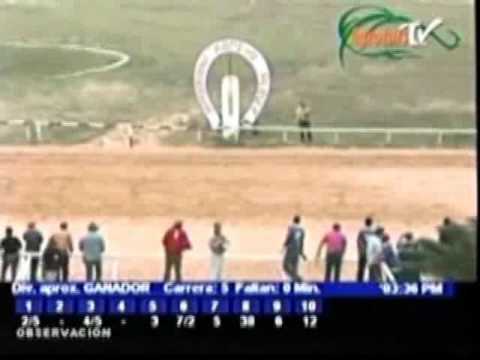 Resumen Lunes, 19 de Marzo de 2012 - Rancho Alegre