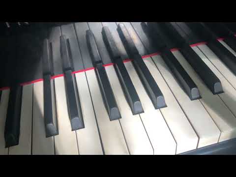[Piano Solo ジャズピアノ] Forever Young - Stefan Heidtmann (p)