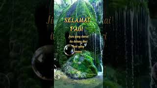 Download lagu Assalamualaikum dan selamat pagi sahabat semua ✌️ mp3