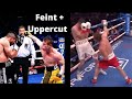 CANELO USING THE SAME MOVE ON DIFFERENT OPPONENTS FEINT UPPERCUT