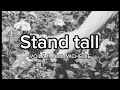 Stand Tall - VOILÀ ft. Ava Michelle [lyrics]